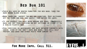Bed Bug Infestation Awareness image