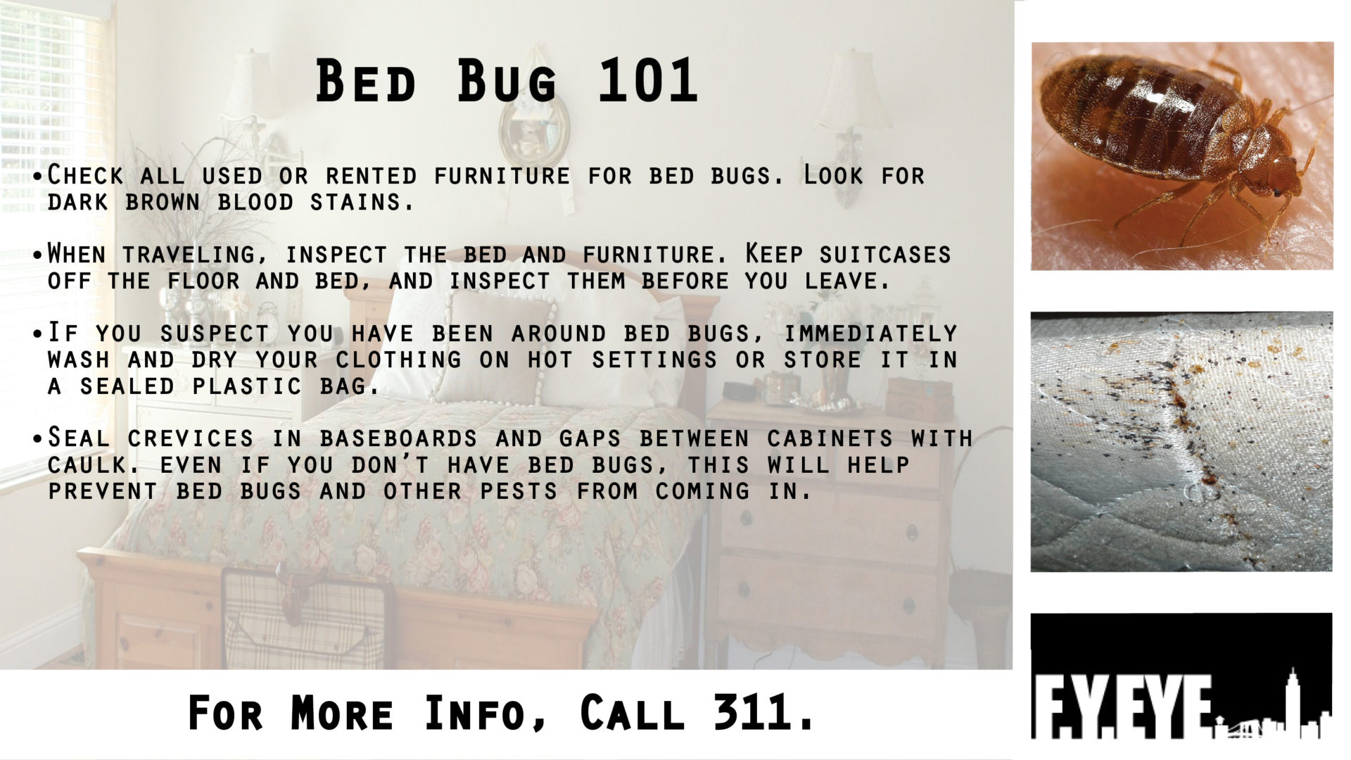 Bed Bug Infestation Awareness banner