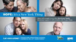 Hurricane Sandy Counseling Services image