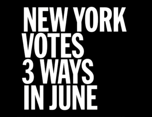 NY-VOTES-JUNE_782x1013 image