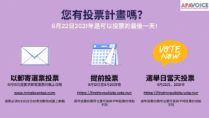 CHINESE Whats Your Voting Plan (1) image