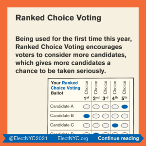 ElectNYC_Why is the election so important_9 image