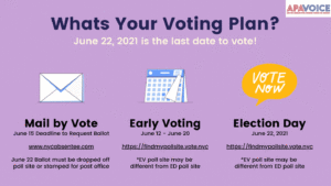 Whats Your Voting Plan (1) image