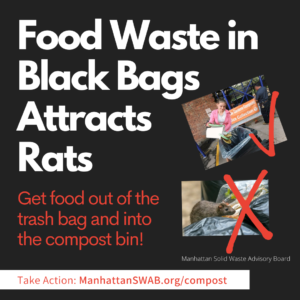 1080 × 1080 Food Waste in Black Bags Attracts Rats! image