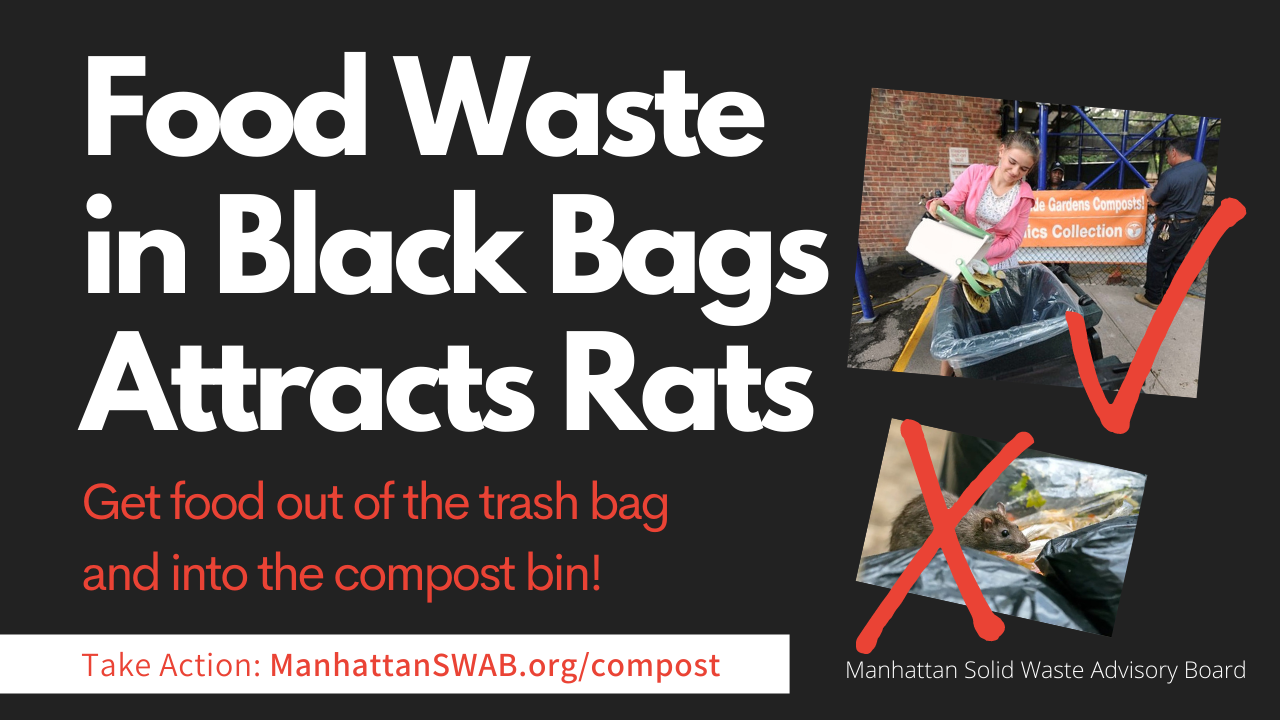 Food Waste in Black Bags Attracts Rats banner