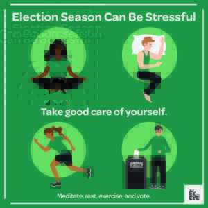 Election Stress image