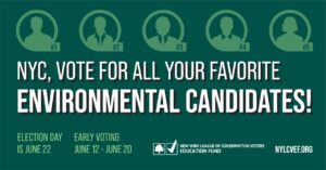 Vote For All Your Favorite Environmental Candidates image